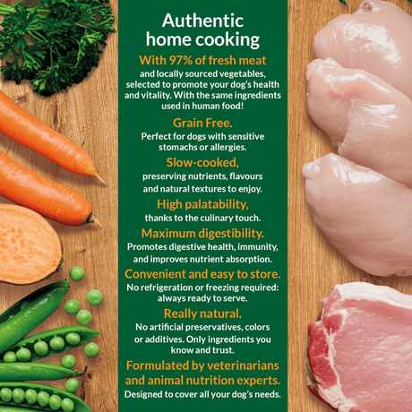 Advertisement for Arquivet dog food with fresh meat, vegetables, and text on a wooden background
