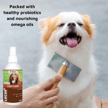 Natural Coat Care Spray |Provilan Lucaa+