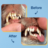 ProDen PlaqueOff Dental Powder