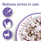 Promotional graphic for calming cat treats, featuring the text 'Reduces stress in cats' and a photo of pink and white valerian flowers. Three purple circular icons on the left depict a Firework, a cat scratching, and a cat spraying.