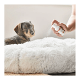 A dachshund sits on a fluffy white pet bed while a person holds a small spray bottle above the bed, CaniComfort Spray.