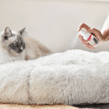 A hand holds a small spray bottle over a fluffy cream pet bed, with a long-haired cat lying nearby in a softly lit indoor setting.