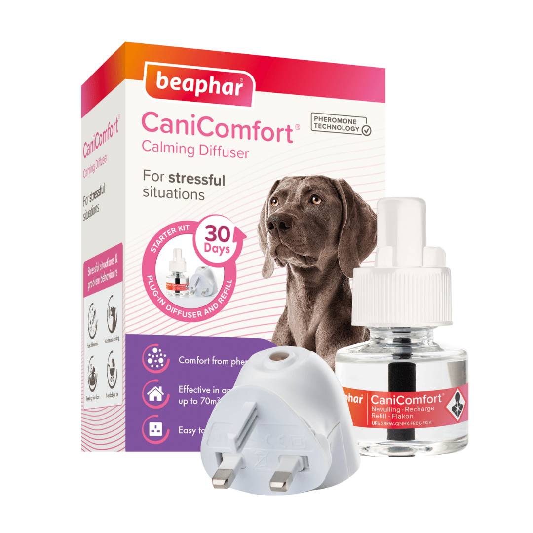 Beaphar CaniComfort Calming Diffuser starter kit, featuring the retail box with a dog illustration, a white plastic diffuser base, and a glass refill bottle with a white cap on a white background.