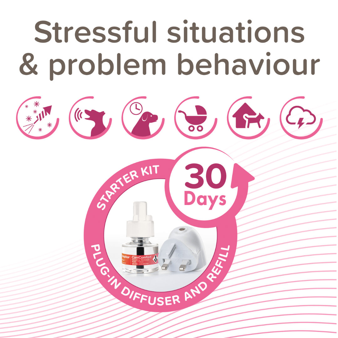 Promotional graphic for a CaniComfort Diffuser starter kit. The central circular badge displays a 30-day supply of plug-in diffuser and refill oil.