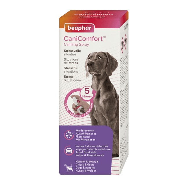 Beaphar CaniComfort Calming Spray for dogs in a white cardboard box with a purple and pink design, featuring a photo of a grey dog on the front.