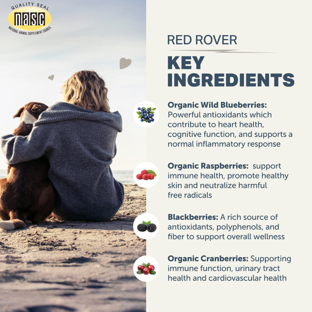Four Leaf Rover - Red Rover - Organic Berry Blend