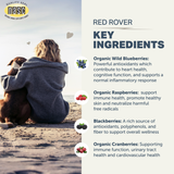 Four Leaf Rover - Red Rover - Organic Berry Blend