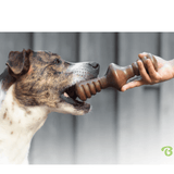 Benebone Zaggler Bacon Dog Toy