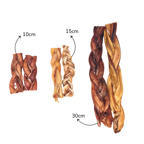 Bull Pizzle Plait