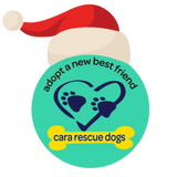 Cara Rescue Dogs Christmas Cards - 10 Pack