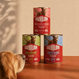 Carnilove Salmon & Turkey Tin