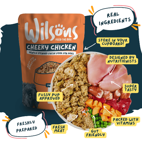 Wilsons Cheeky Chicken Fresh Dog Food