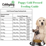Cobbydog Salmon and Squash Cold Pressed Dog Food