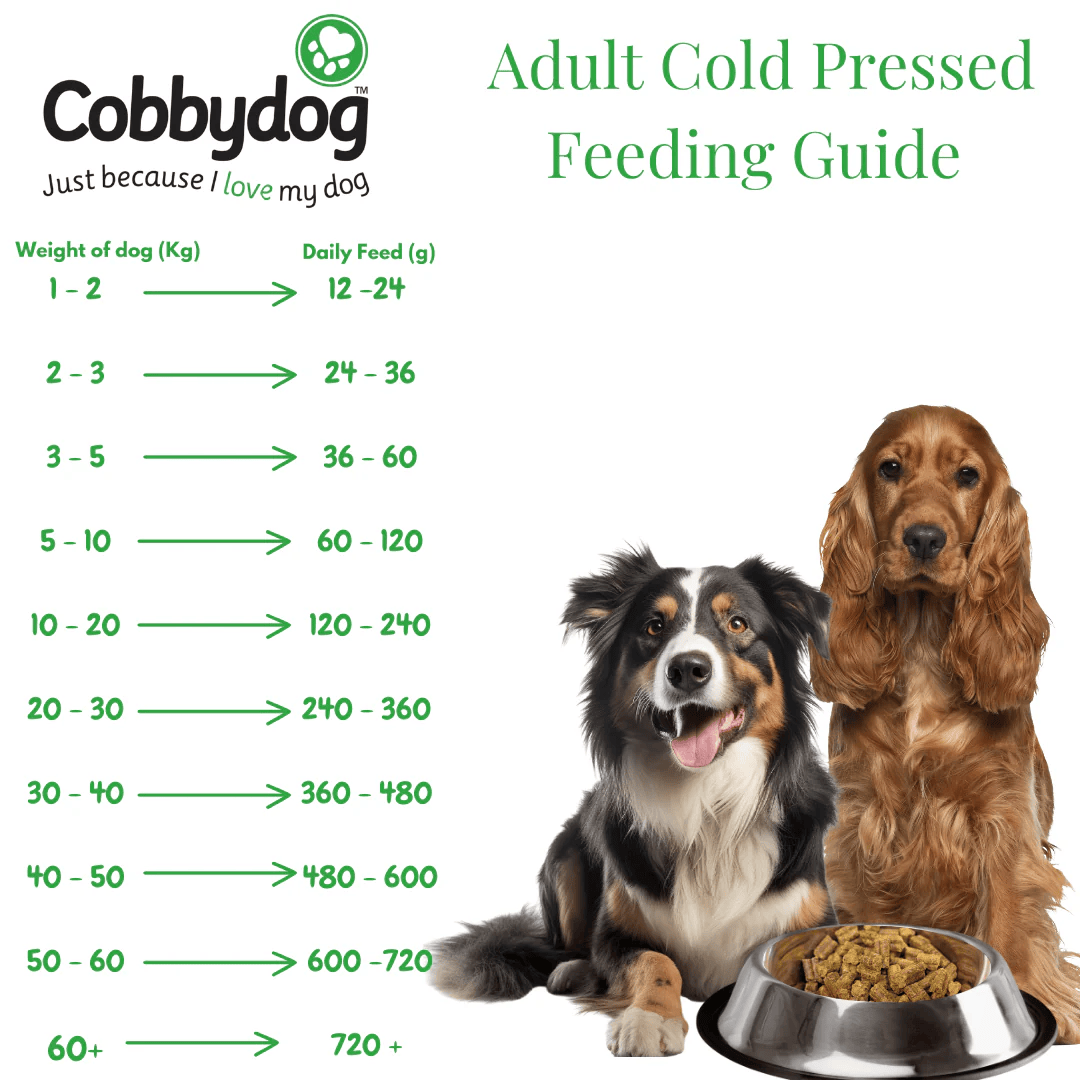 Cobbydog Salmon and Squash Cold Pressed Dog Food