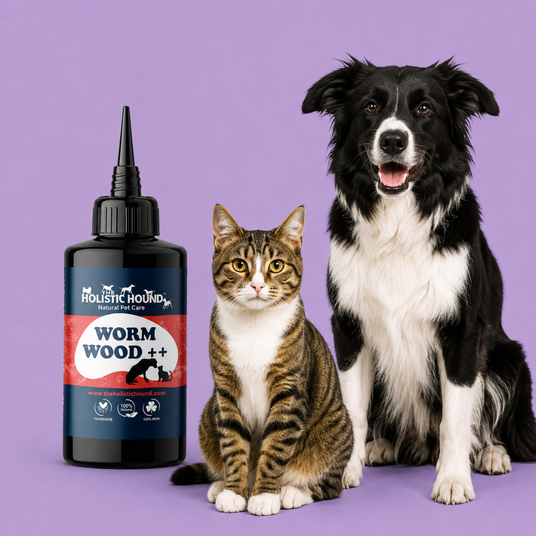 Holistic Hound Wormwood ++ (formerly Worms Away)