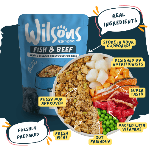 Wilsons Fish & Beef Fresh Dog Food