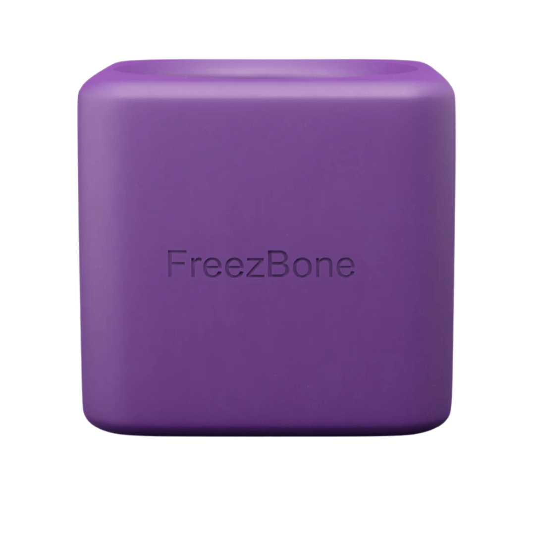 FreezBox Enrichment Toy For Pets