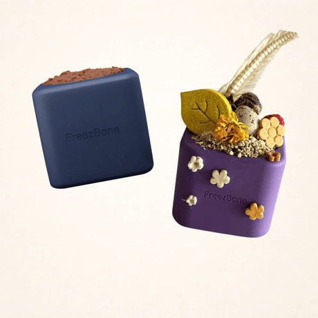 FreezBox Enrichment Toy For Pets