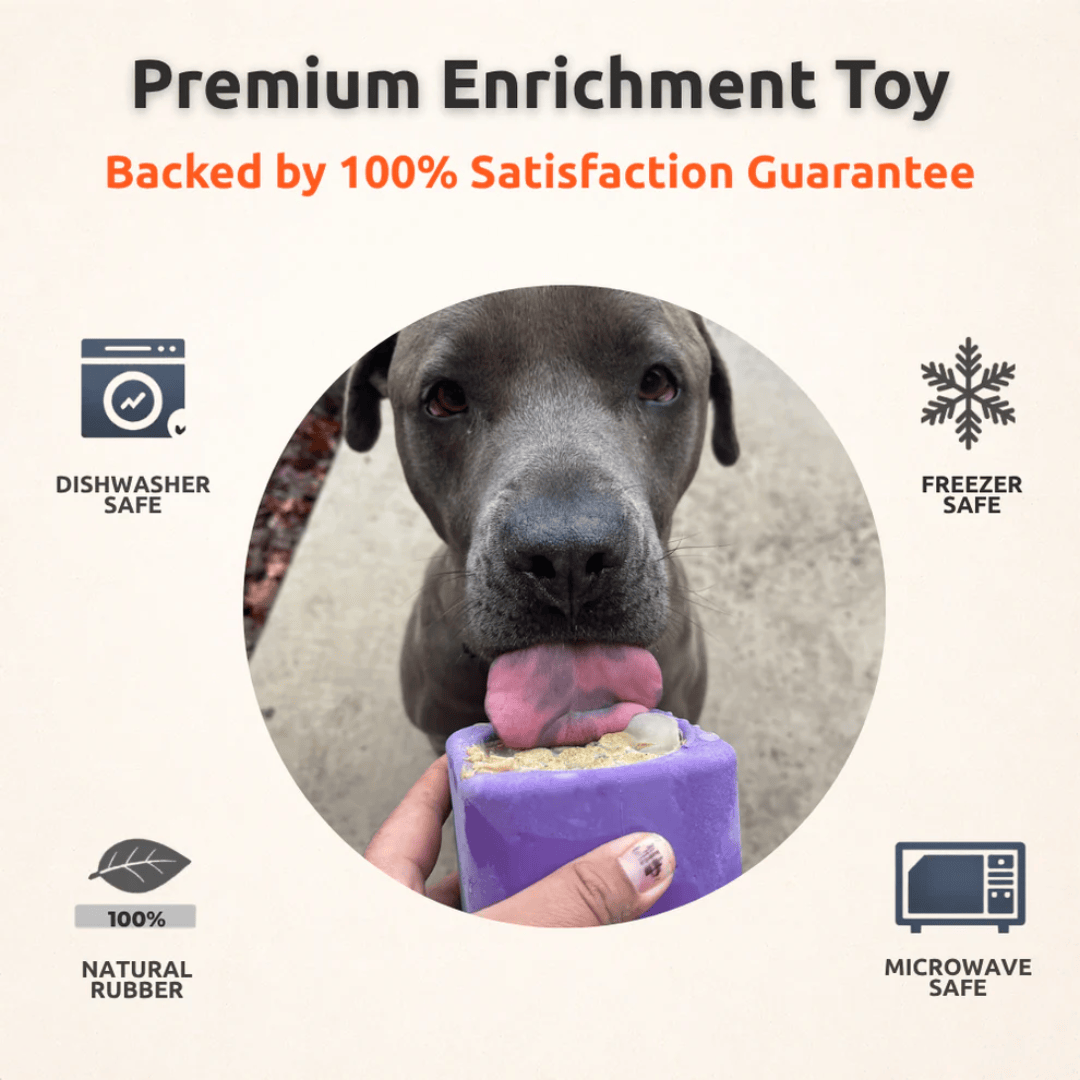 FreezBox Enrichment Toy For Pets