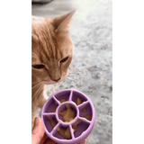 FreezSpin Enrichment Toy For Pets