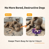 FreezSunflower Enrichment Toy For Pets
