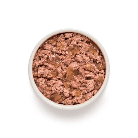 Top-down view of wet Grandorf dog food in a white ceramic bowl on a clean white background.