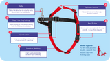 Halti Front Control Harness