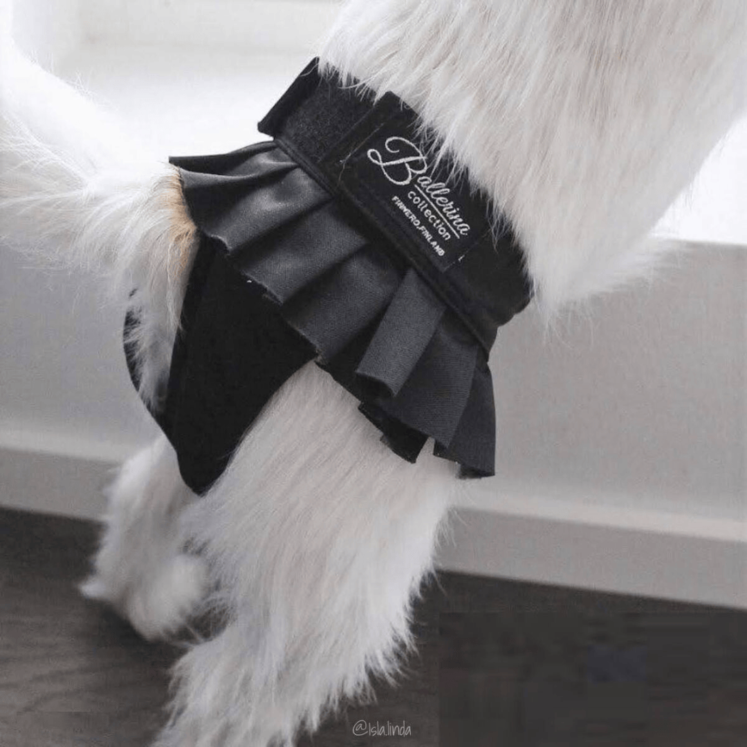 Finnero Female Dog Heat & Hygiene Pants
