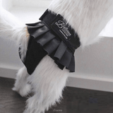 Finnero Female Dog Heat & Hygiene Pants