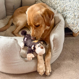 Kong Cozies Natural Dog Toy