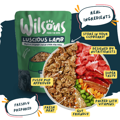 Wilsons Luscious Lamb Fresh Dog Food