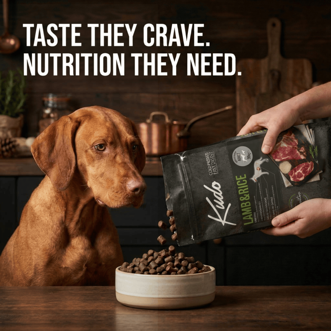 Dog watching as Kudo Lamb & Rice dog food is poured into a bowl with text 'Taste they crave. Nutrition they need.'