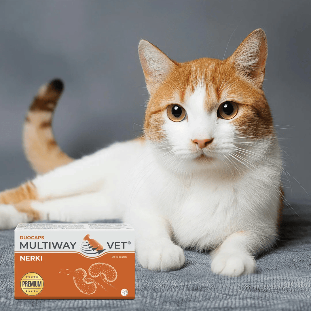 Multiway Vet Duocaps - Kidney