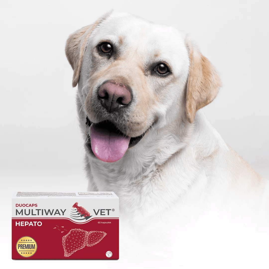 Multiway Vet Duocaps - Hepato Liver Health