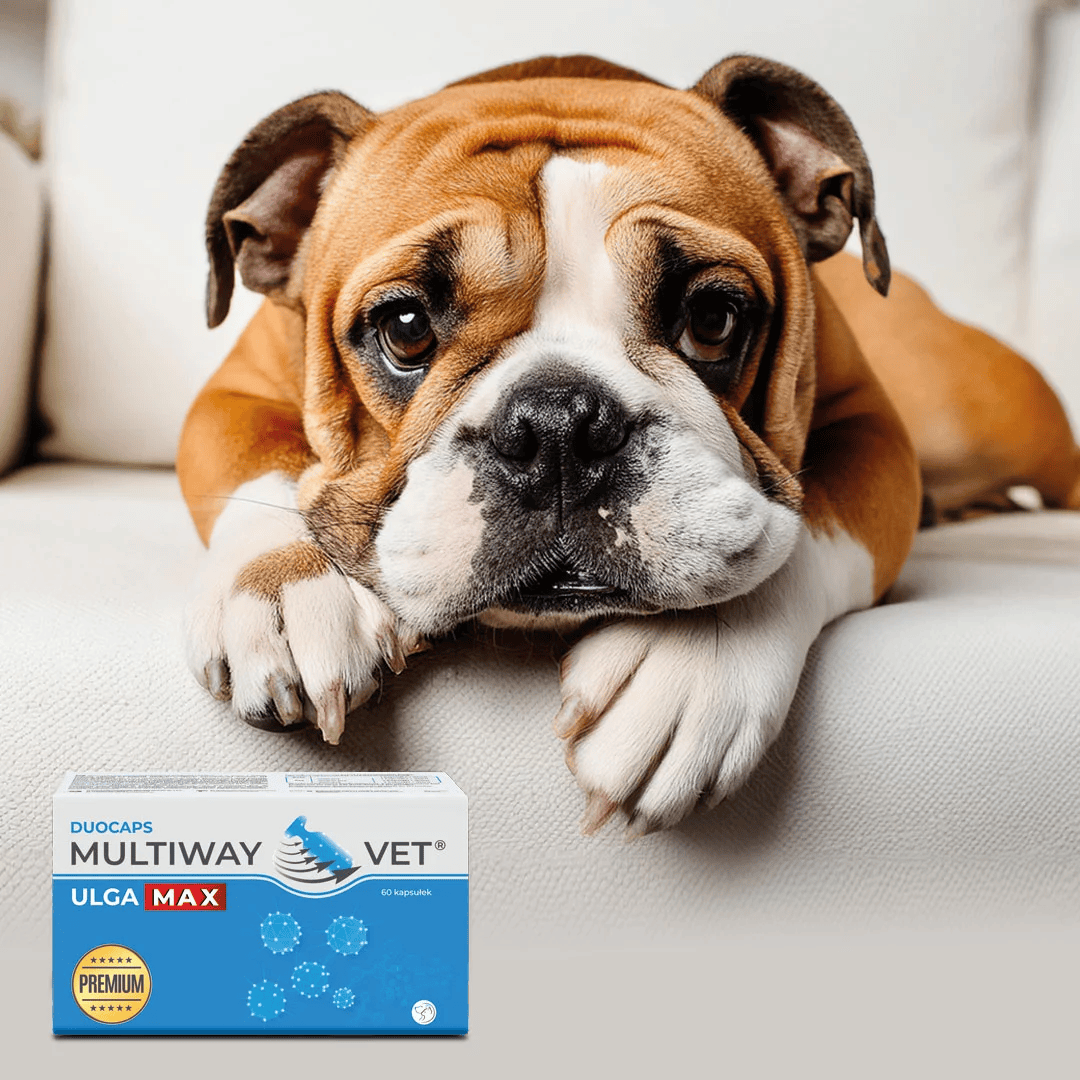 Multiway Vet Duocaps - Relief Max for Anxiety