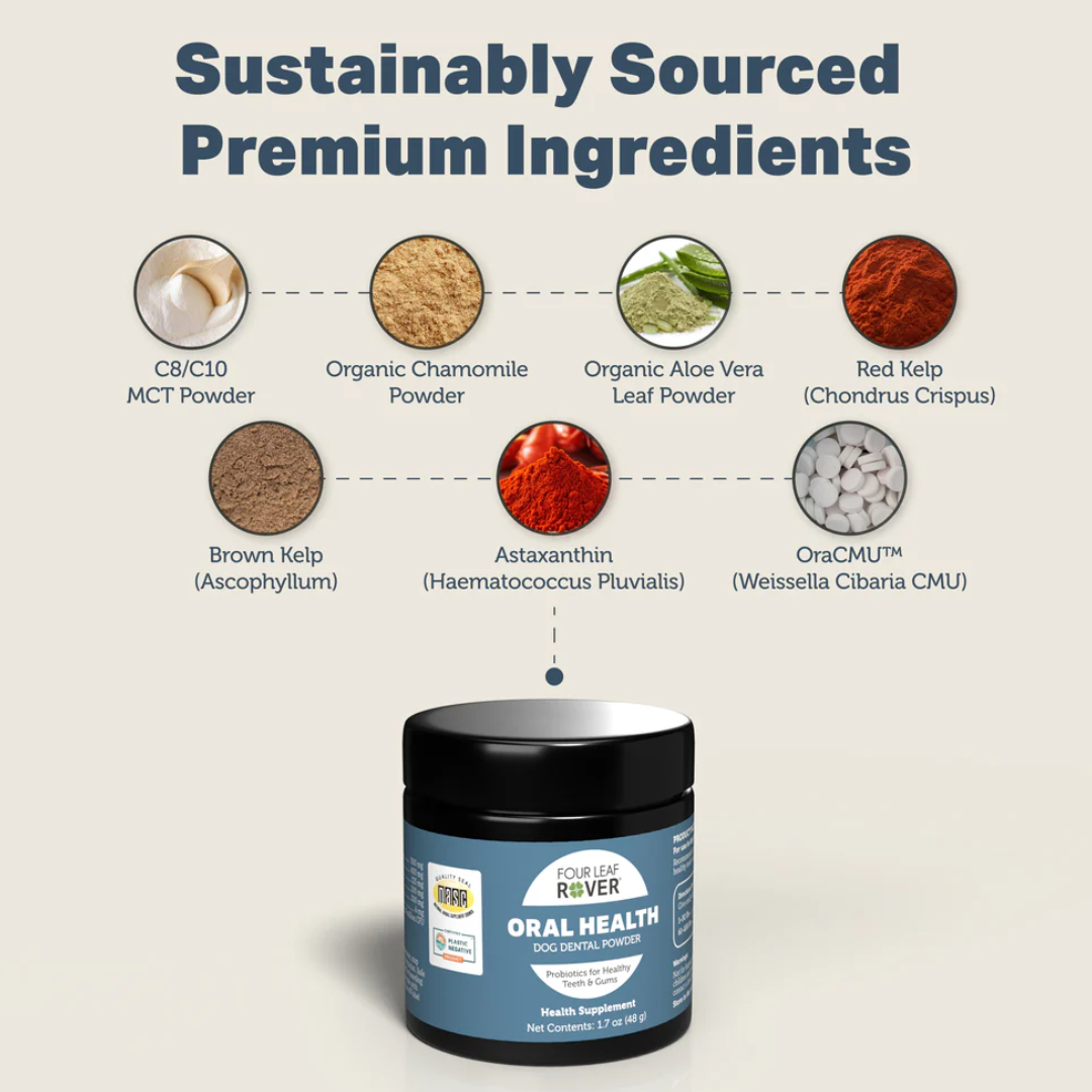 Four Leaf Rover - Oral Health