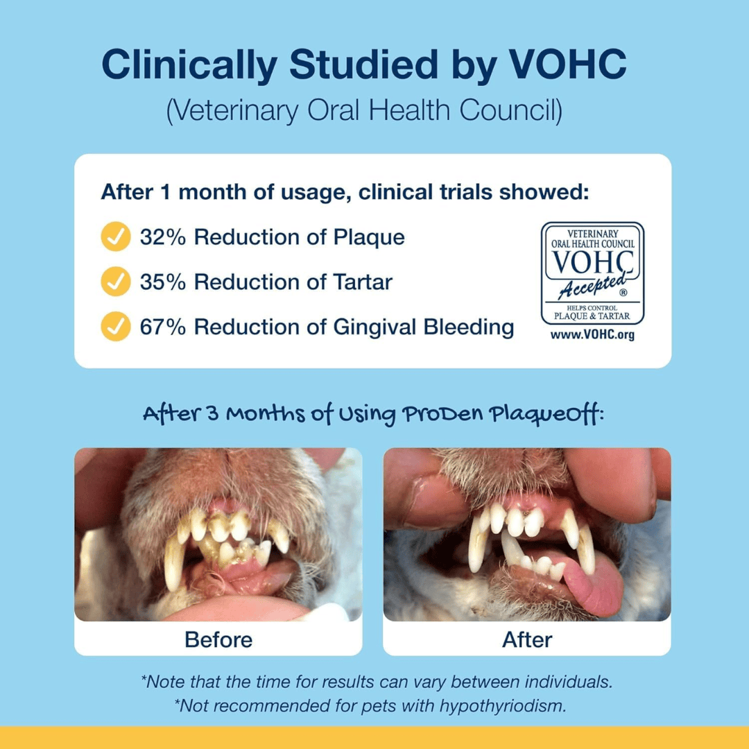 ProDen PlaqueOff Dental Powder