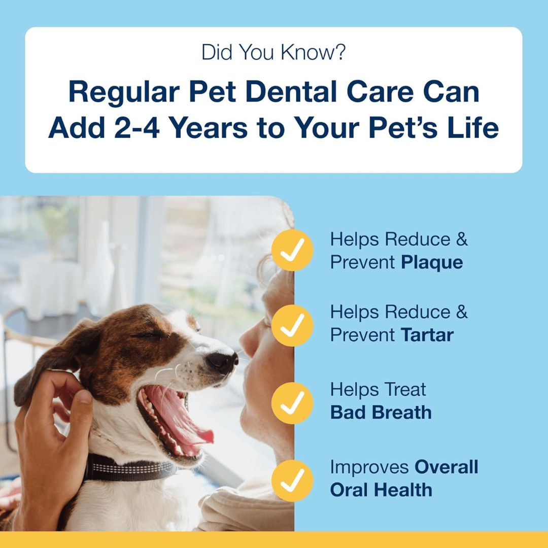 ProDen PlaqueOff Dental Powder