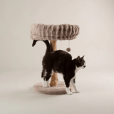 Scruffs Appalachians Cat Tree