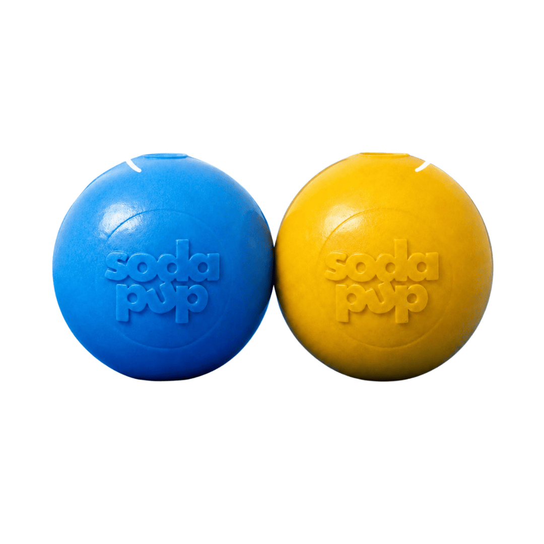 SodaPup Squeak Ball