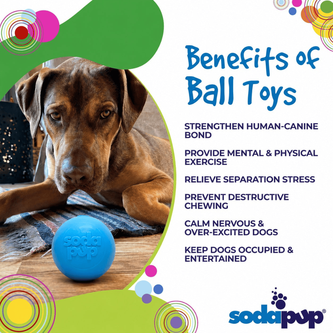 SodaPup Squeak Ball