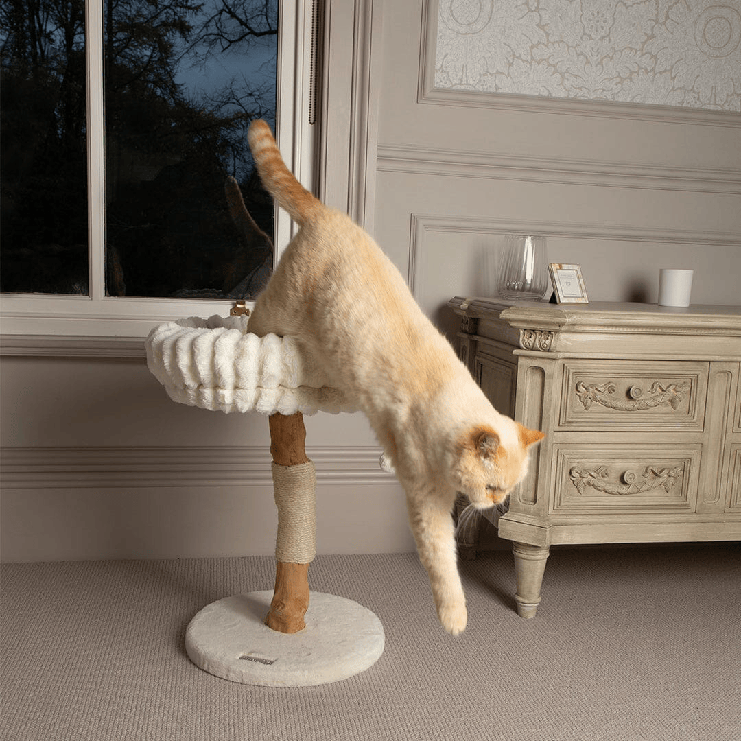 Scruffs Appalachians Cat Tree