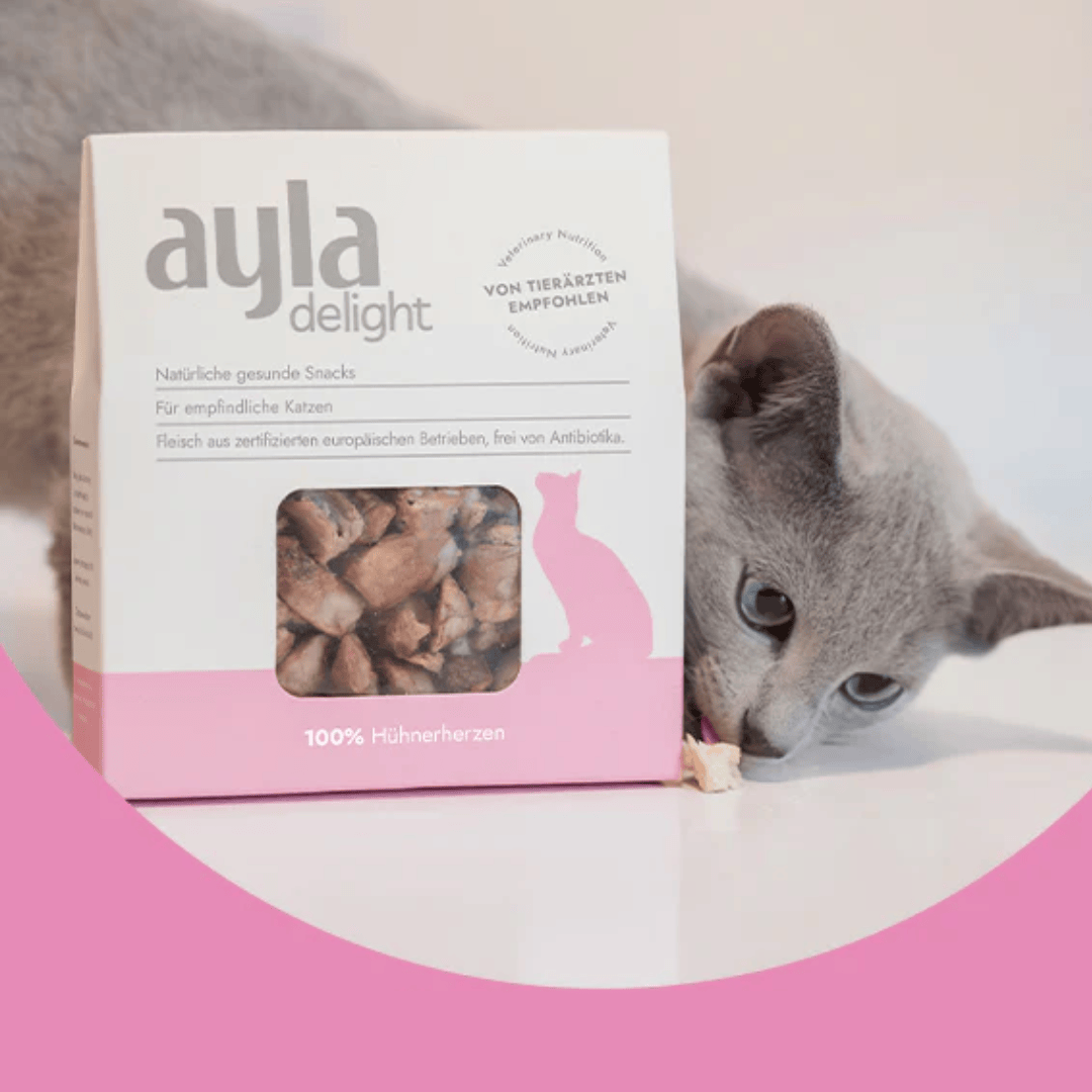 Cat food package labeled 'ayla delight' with a cat sniffing the packaging and the treat.