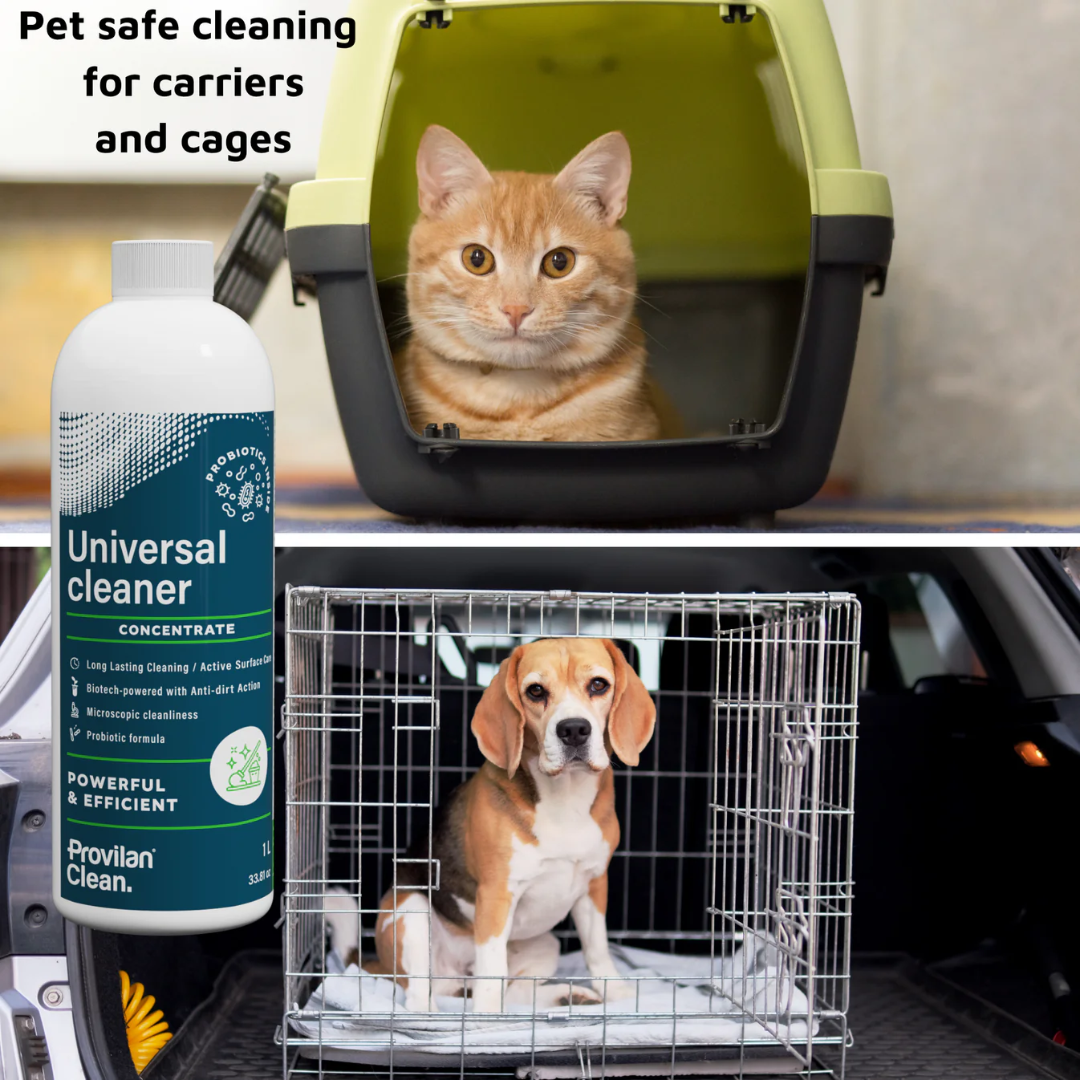 Probiotic Universal Cleaner Concentrate (1:100) - Provilan Clean