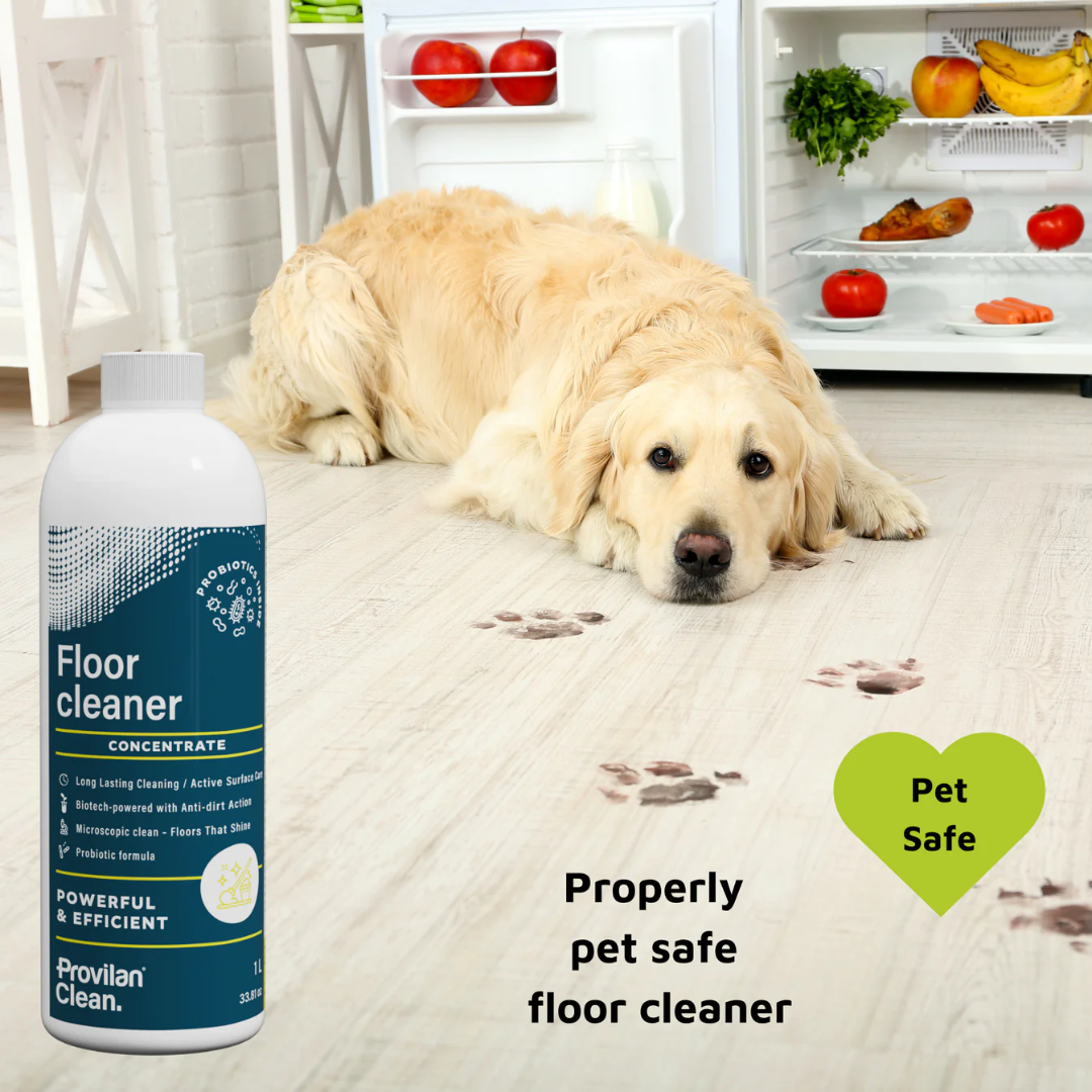 Probiotic Floor Cleaner Concentrate (1:100) - Provilan Clean