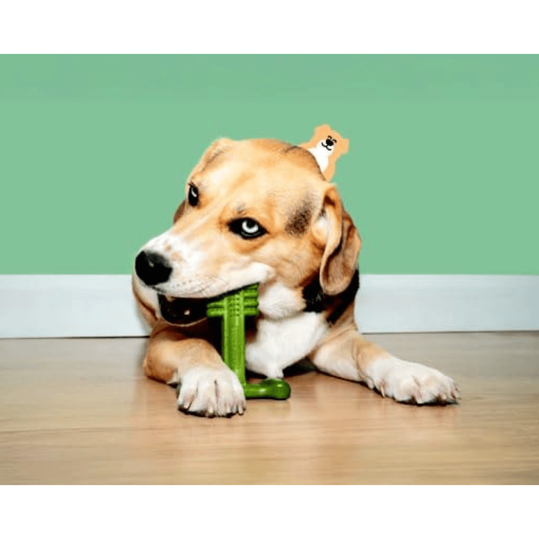 Bamboodles T-Bone Dog Chew - Mint