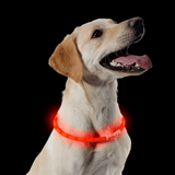 Ancol USB Flashing Collar