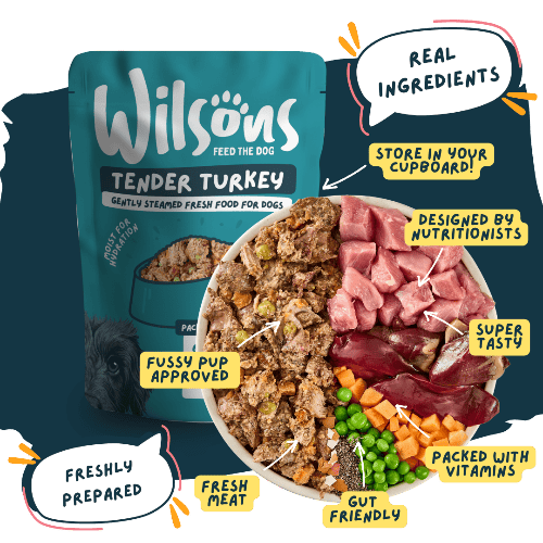 Wilsons Fresh Dog Food Bundle