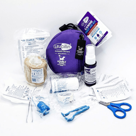 Leucillin First Aid Kit