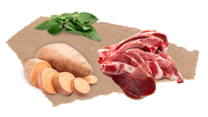 Nourish Rite Grain Free Adult Dog Food - Lamb